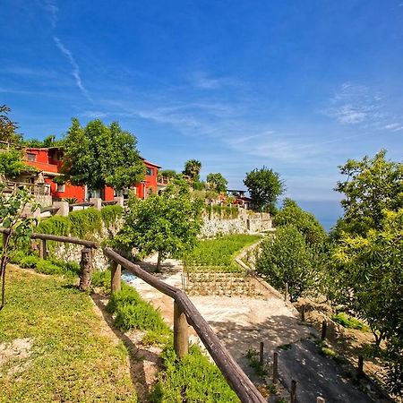 Agriturismo Pera Di Basso Casamicciola Terme Luaran gambar