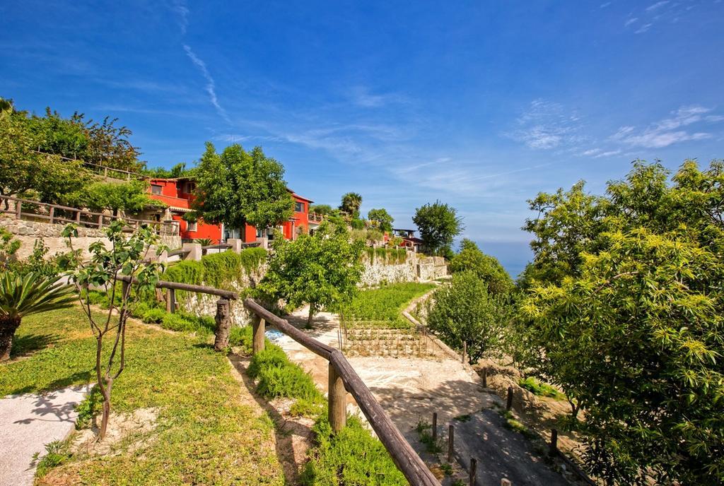 Agriturismo Pera Di Basso Casamicciola Terme Luaran gambar