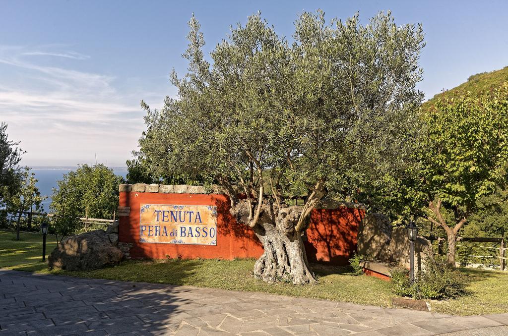Agriturismo Pera Di Basso Casamicciola Terme Luaran gambar