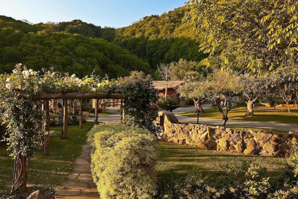 Agriturismo Pera Di Basso Casamicciola Terme Luaran gambar
