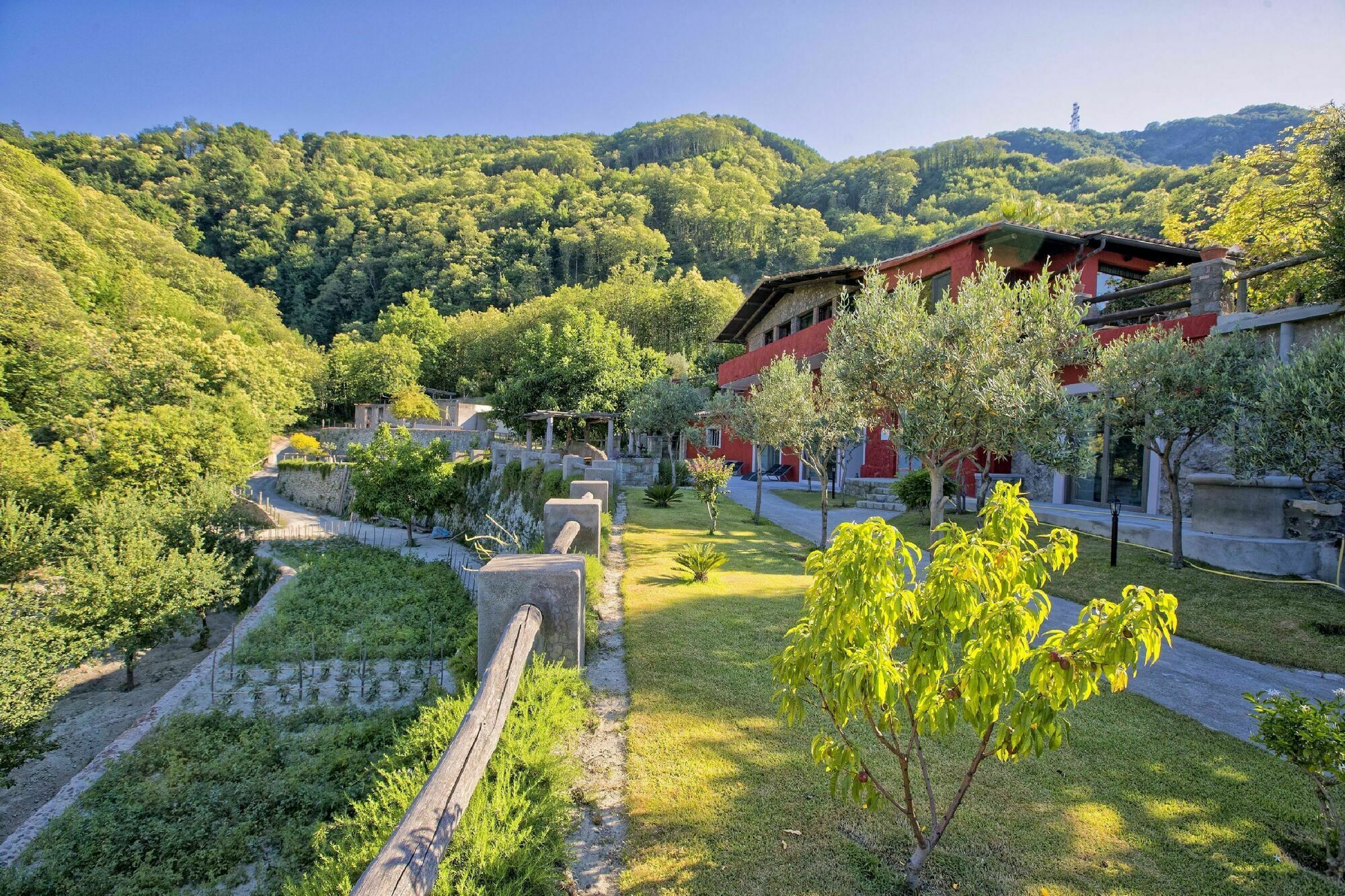 Agriturismo Pera Di Basso Casamicciola Terme Luaran gambar